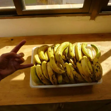 Hostel Casa Grande Surf El Medano (Tenerife)